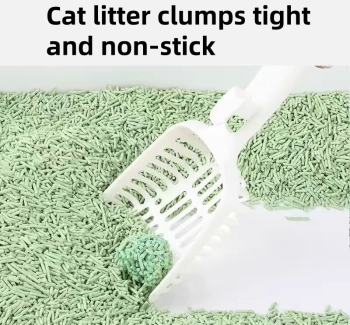cat litter