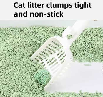 cat litter