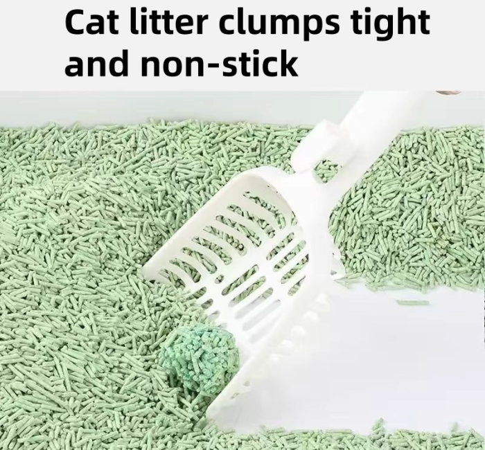 cat litter