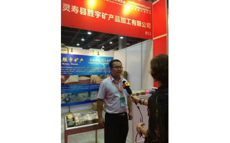 Shengyu Mineral Products Processing Co., Ltd. participated in the architectural coatings exhibition